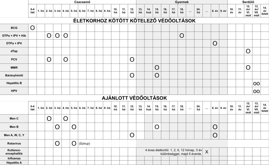 Oktatási anyagok screenshot